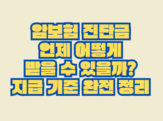 암보험 진단금