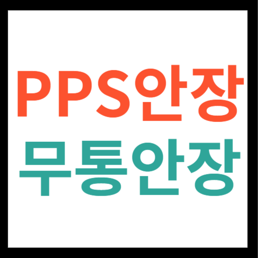 PPS 안장