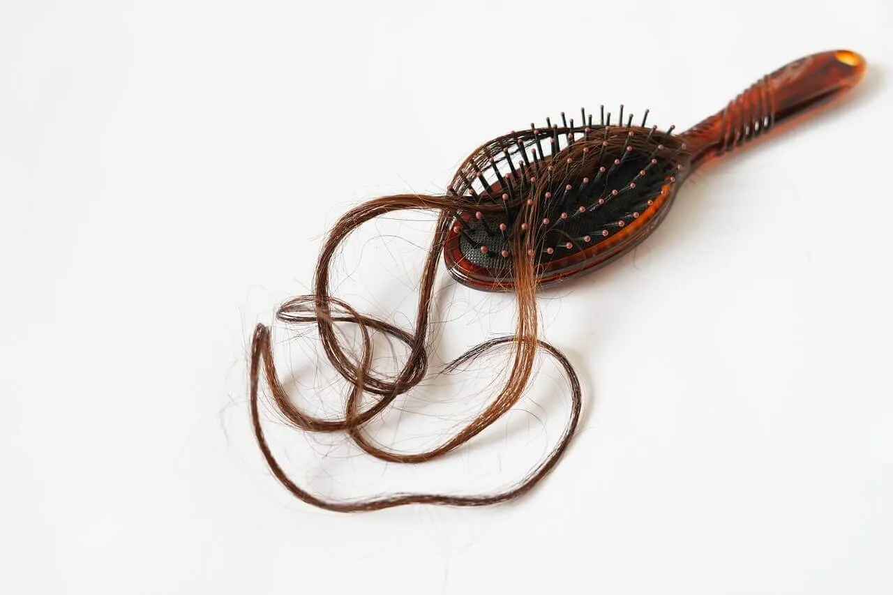 머리 빠지는 진짜 이유