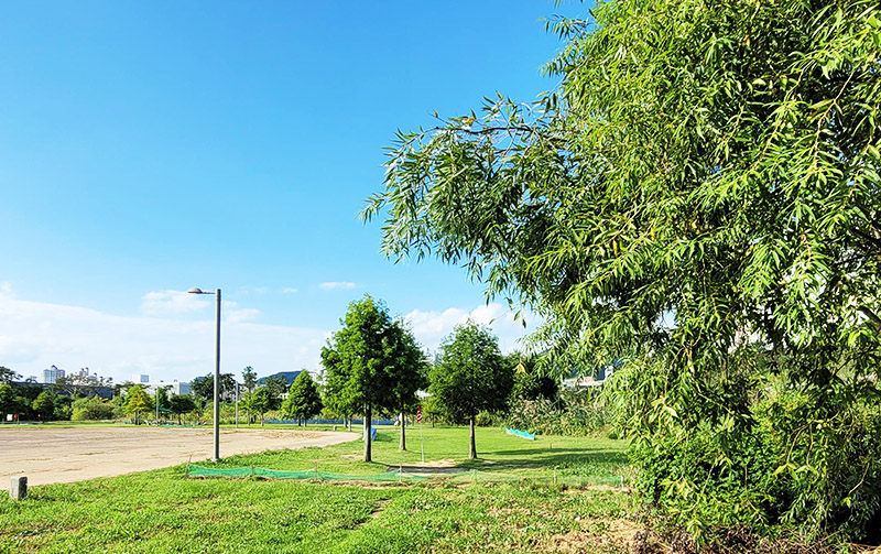 대구	달성군 과학관공원파크골프장 소개