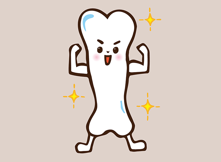 건강한-뼈-모습