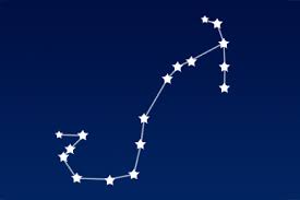 전갈자리 이미지