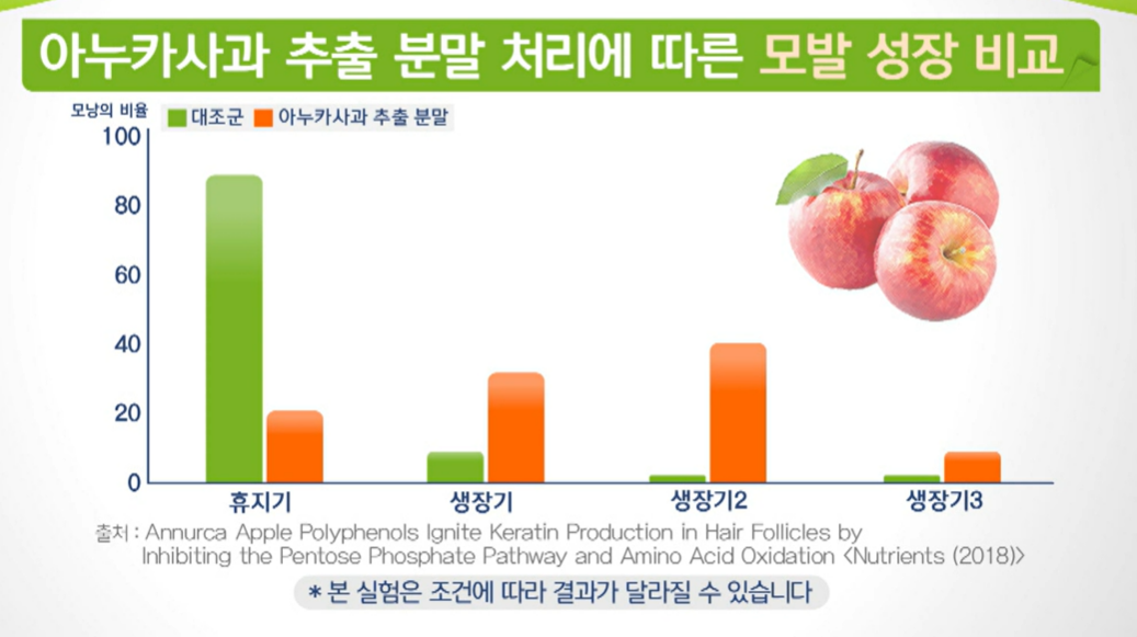 아누카 사과 분말