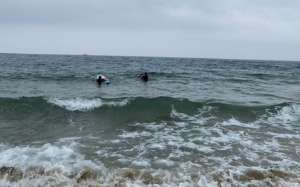 2024 강원도 해수욕장 개장일 추천 BEST 7