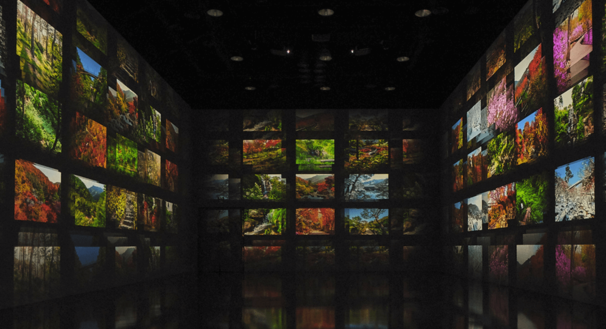 화담숲 예약 입장료 화담채