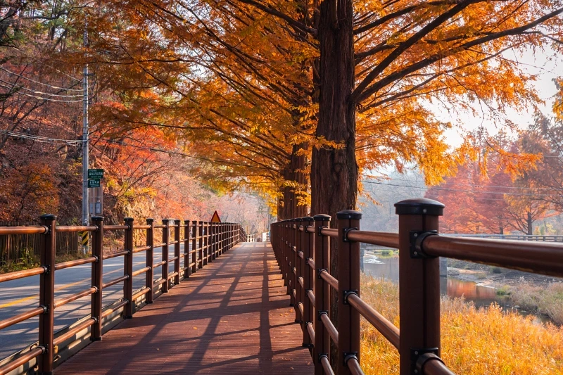광릉숲길 주요 코스