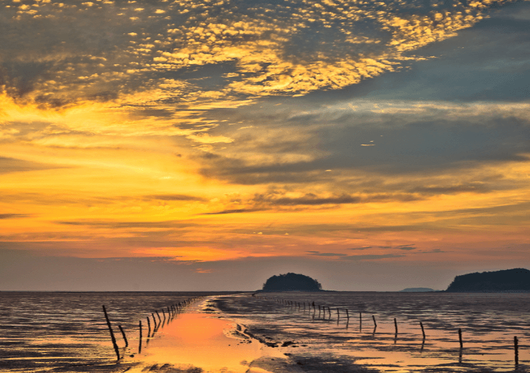 구시포 해수욕장