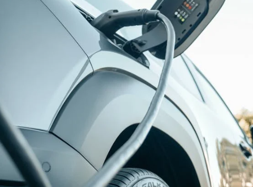 전기차 회사가 실패하는 이유