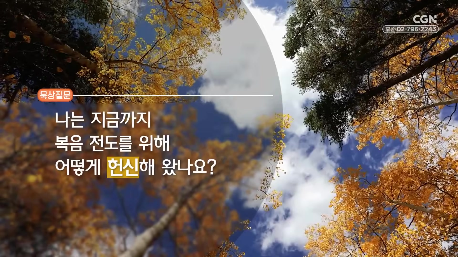 나는 지금까지 복음 전도를 위해 어떻게 헌신해 왔나요?