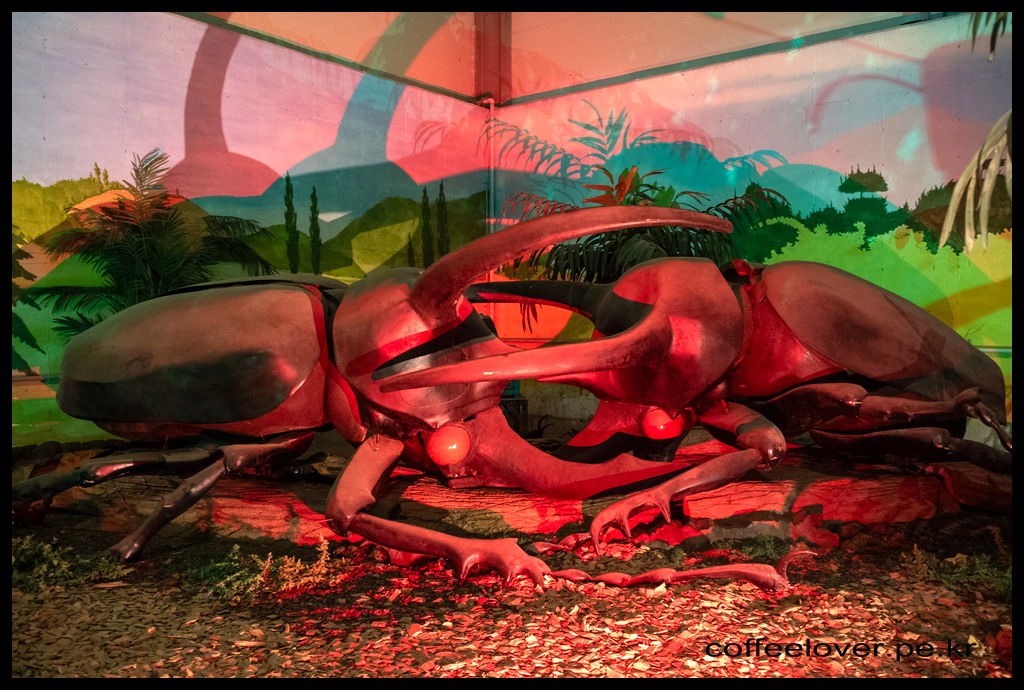 이천여행 아이와 가볼만한곳 덕평공룡수목원