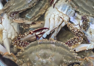 꽃게 찌는 방법 완벽 가이드