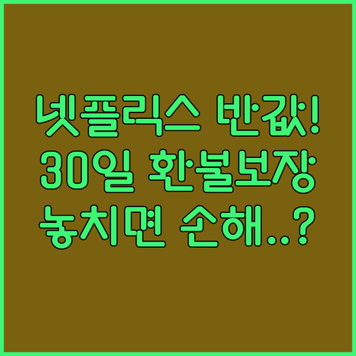 넷플릭스 계정 공유 파티원 자동 매칭..