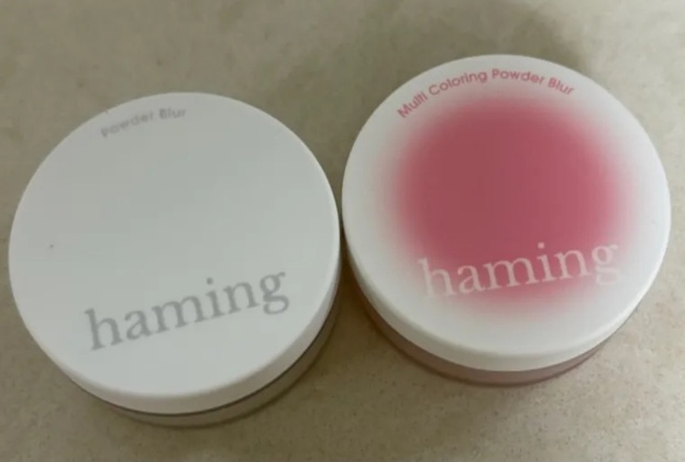 하밍 파우더블러