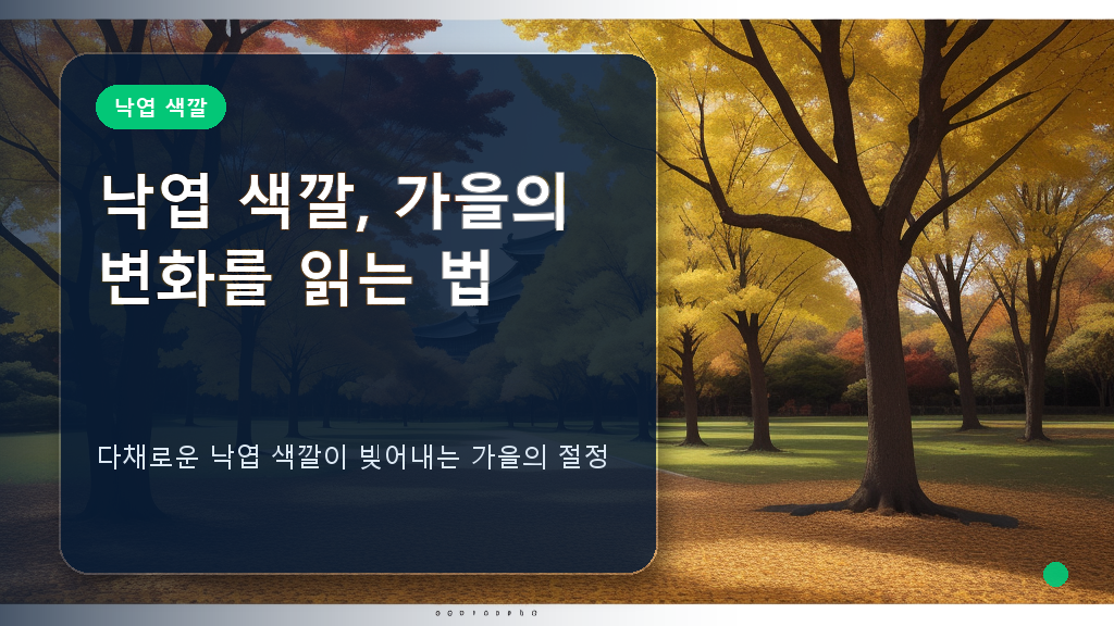 다채로운 색깔의 가을 단풍 풍경