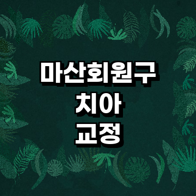 창원 마산회원구 교정 치과