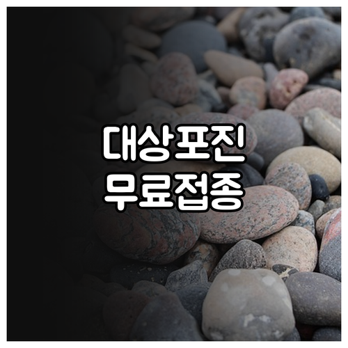 파주시 대상포진 예방접종 2025 무..