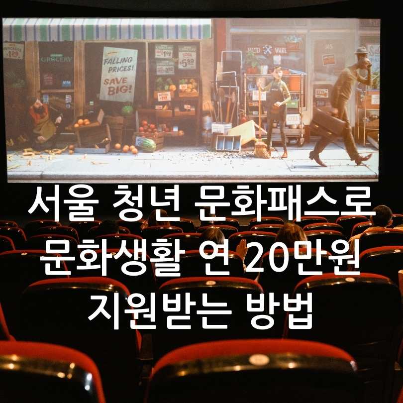 서울 청년 문화패스