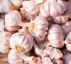 고지혈증에 좋은 음식 나쁜 음식