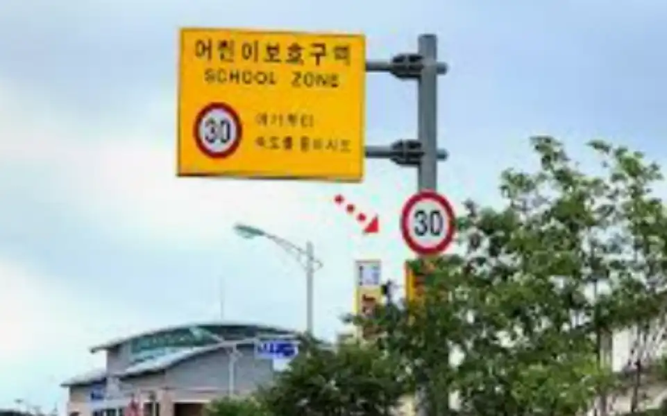 과속 단속 조회 실시간 확인 1