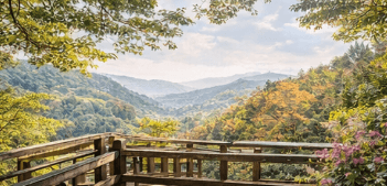 화담숲 모노레일 예약방법 총정리