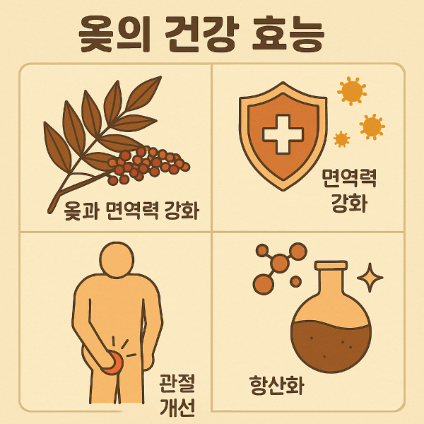 옻의 주요 건강 효능을 정리한 인포그래픽 이미지