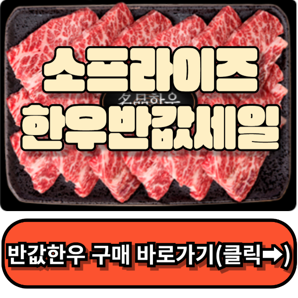 소프라이즈2024대한민국한우세일 (1++반값세일)한우먹는날!!