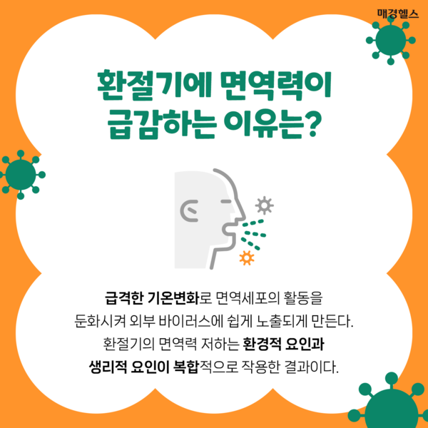 계절과 면역력의 상관 관계와 컨디션 관리 방법