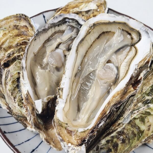 삼배체 굴 &amp; 샴페인(Champagne) 와인 페어링｜바다의 신선함을 터뜨리는 기포의 향연