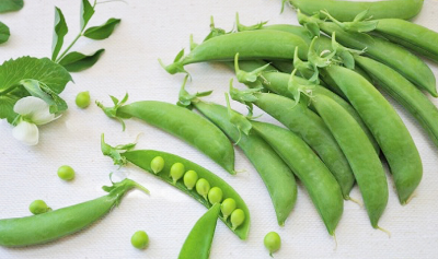 완두콩 사진