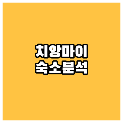 치앙마이 호텔 어디가 좋을까? 인기 