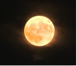 컴컴한 밤하늘 노란빛을 내는 슈퍼문달