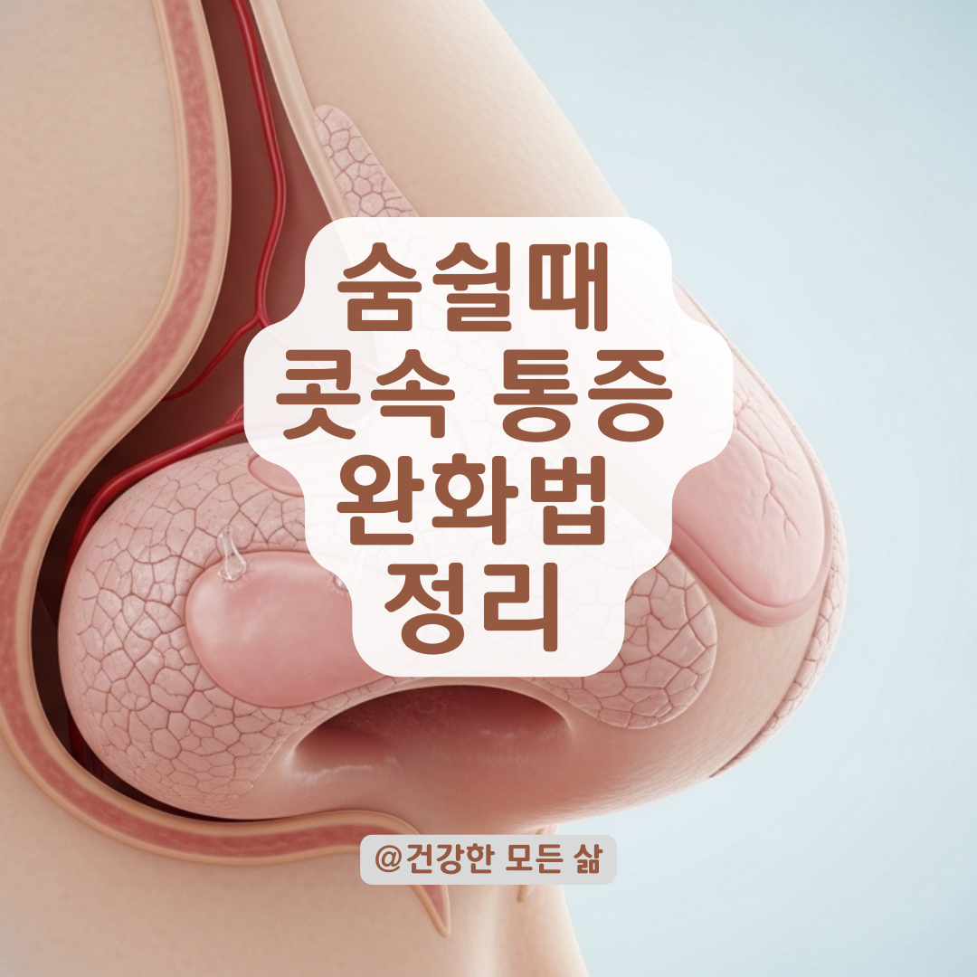 숨 쉴 때 콧속이 아픈 이유와 자극 줄이는 생활습관으로 완화하는 방법 정리.