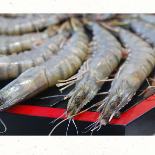 가을 바다 별미