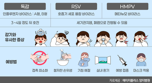 hmpv 바이러스 증상 잠복기 감기 독감 차이