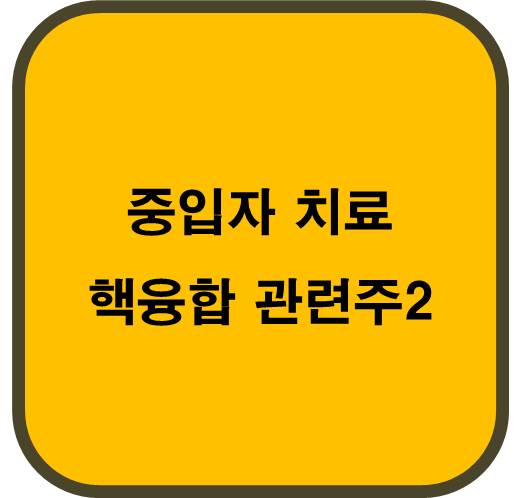 중입자 치료 핵융합 관련주2