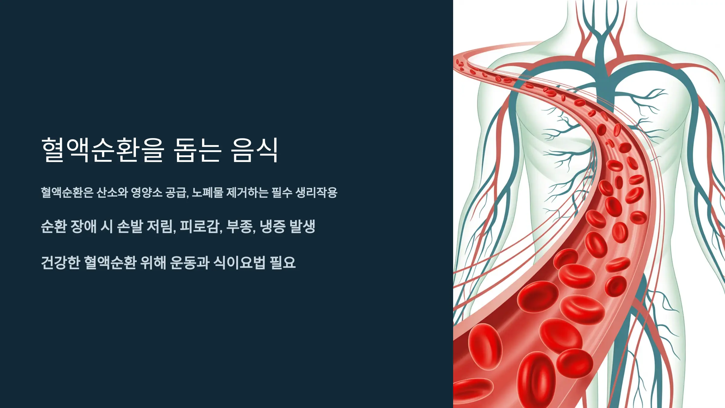 혈액순환을 원활하게 해주는 음식과 식습관 가이드
