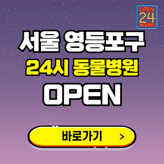 서울 영등포구 24시 동물병원 진료하는 곳 ❘ 설날 휴일 야간 심야 문여는곳 찾기 ❘ 응급진료