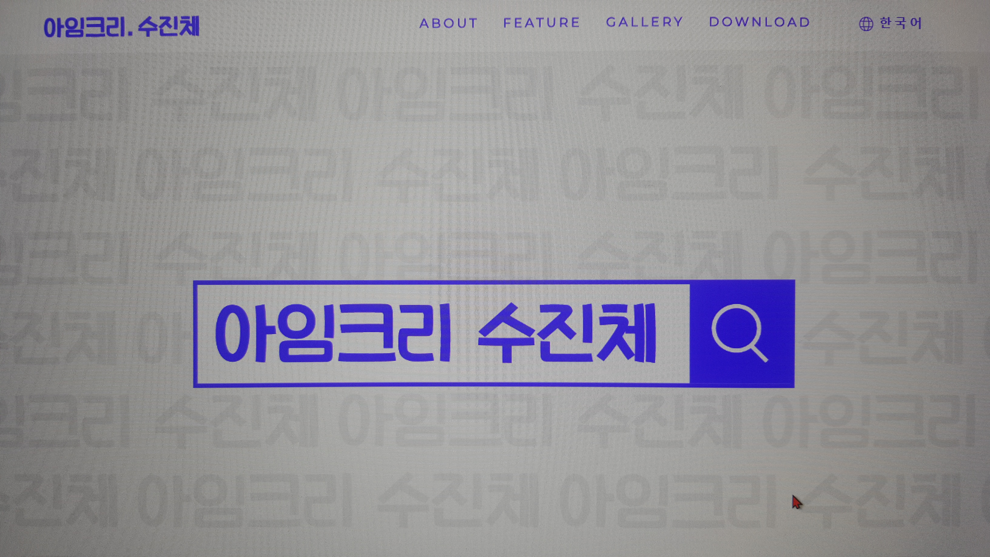 홈페이지