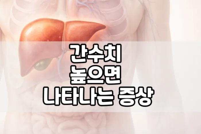 간수치가 높으면 나타나는 증상