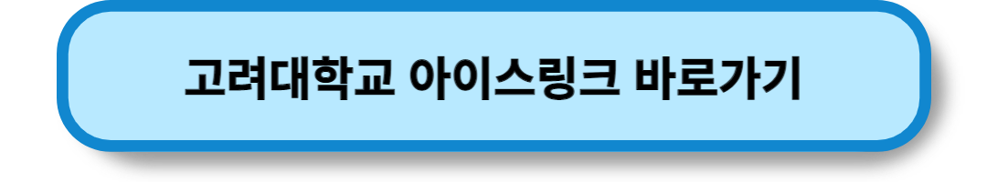 서울의 스케이트장 (23)