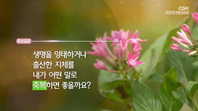 생명을 잉태하거나 출산한 지체를 내가 어떤 말로 축복하면 좋을까요?