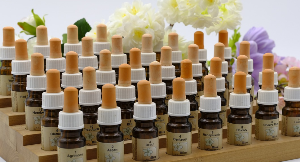 대체의학 (정의, 종류, 수용여부)