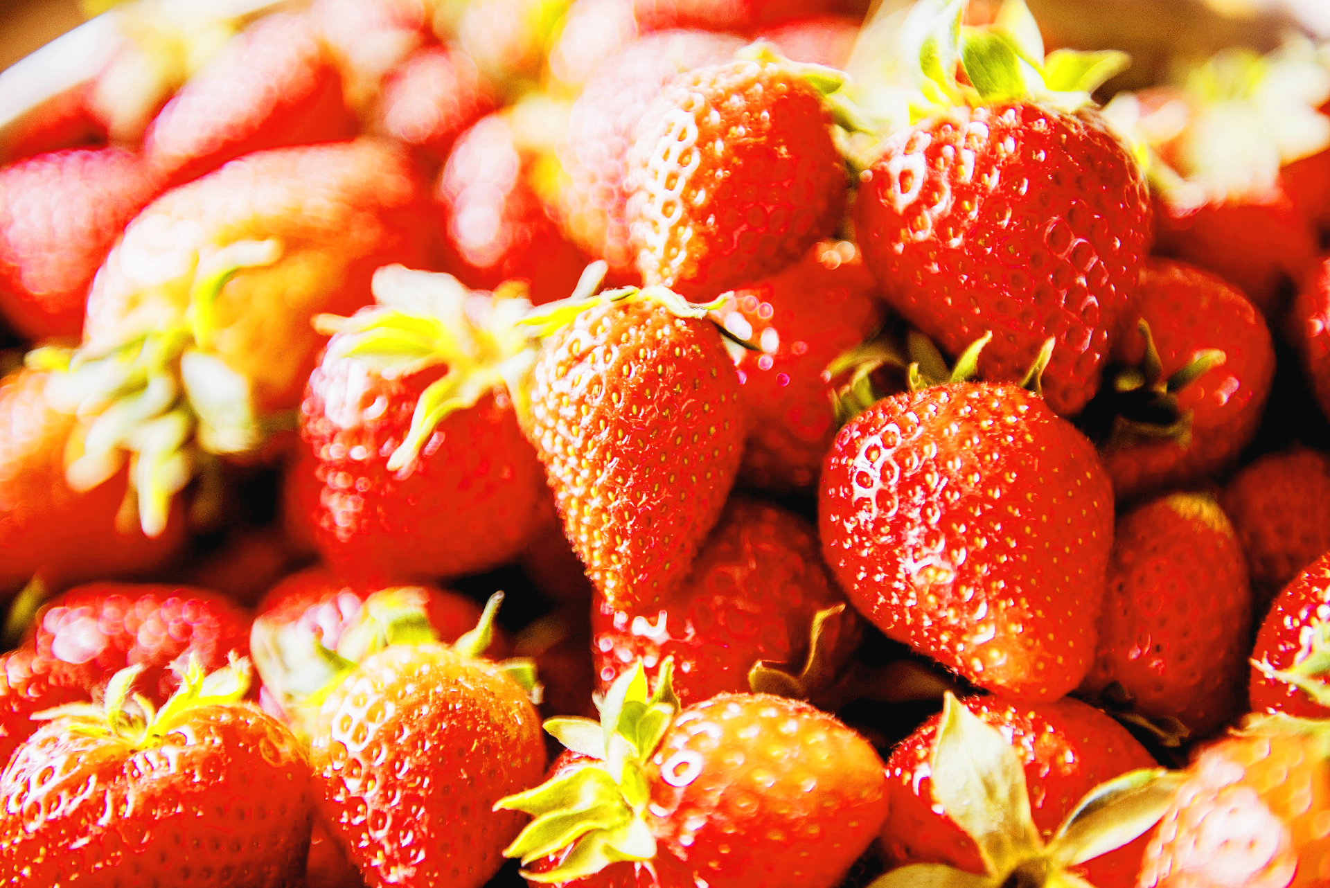 딸기잼,딸기음료 등으로 다양한 요리법으로