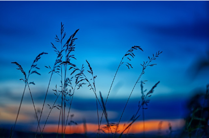 개인회생 신청자격 절차 총정리: 신청부터 인가까지 한 번에 알아보기