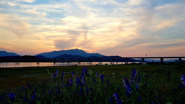 금오산 다리 석양