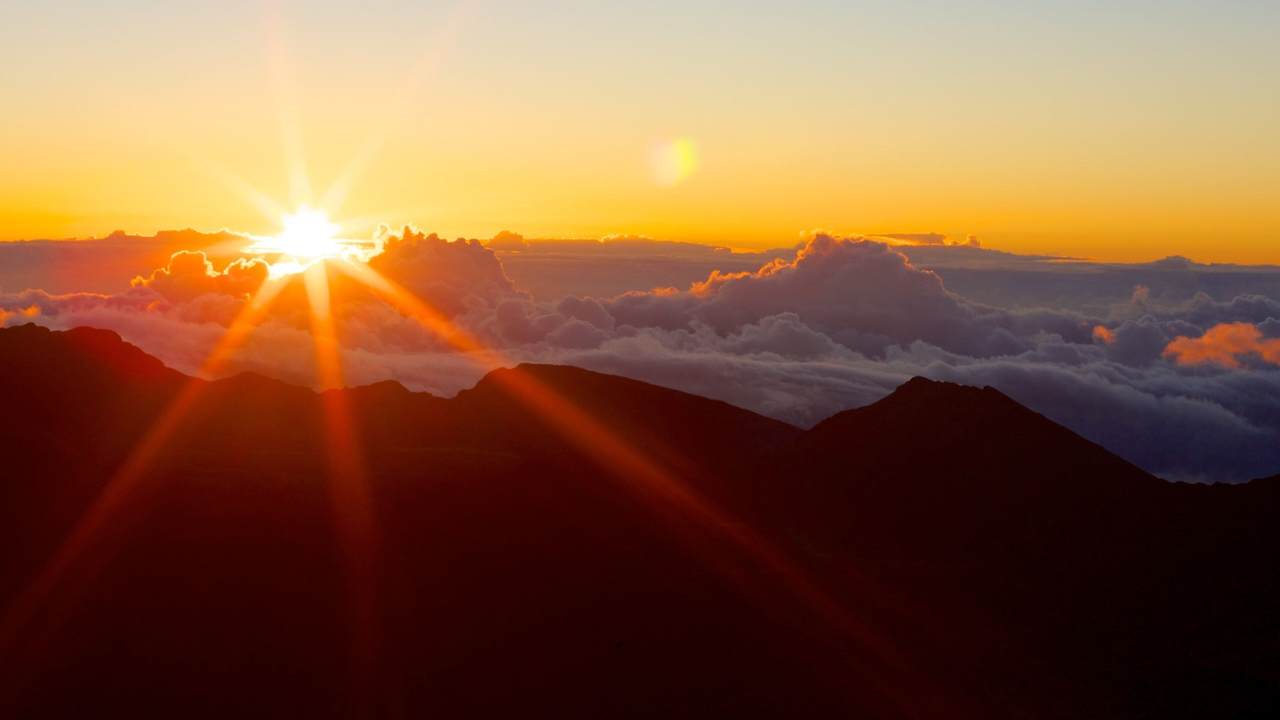 하와이여행 관련사진