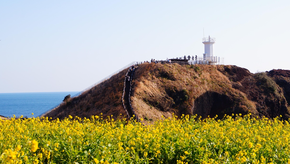 제주도 6월 날씨
