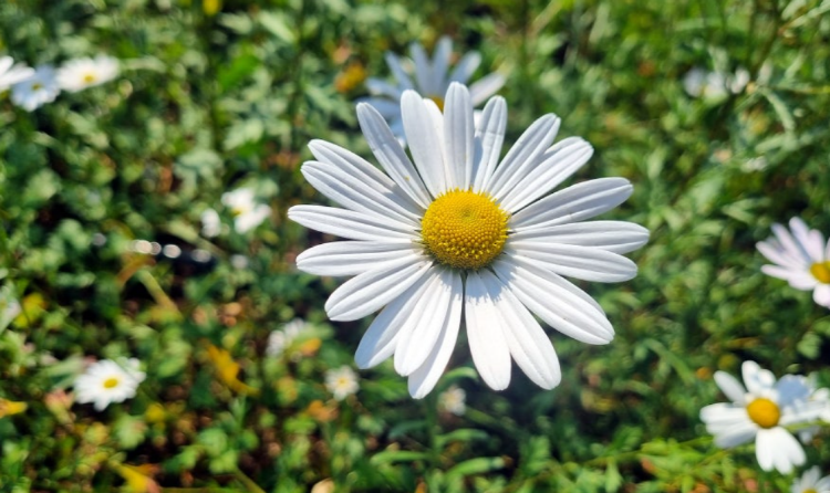 파주 율곡수목원