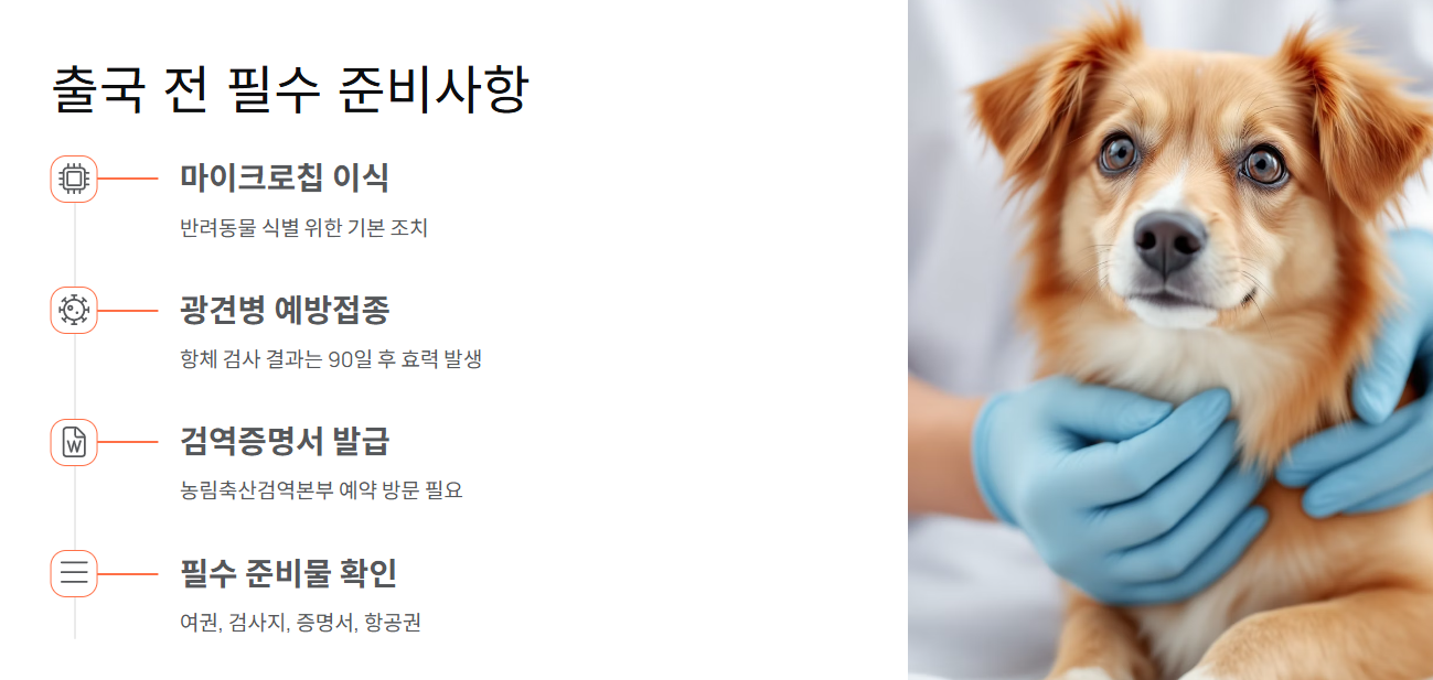 출국 전 필수 준비사항