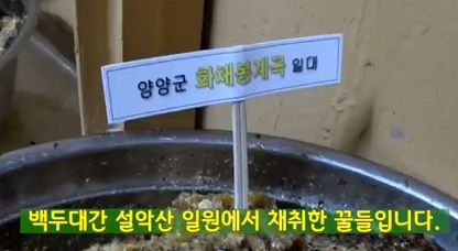 양양토종꿀